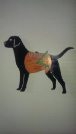 Labrador Dog Full Vinyl Record Clock